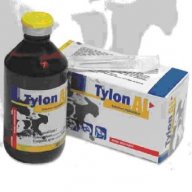 Tylon