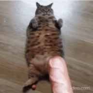 AHHHHHHHHHHHH