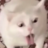 ALTA