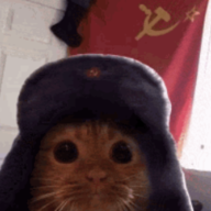 Russian_Cat