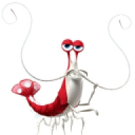 korrojr
