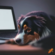 Gabro2010_YT