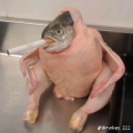 snakies.off